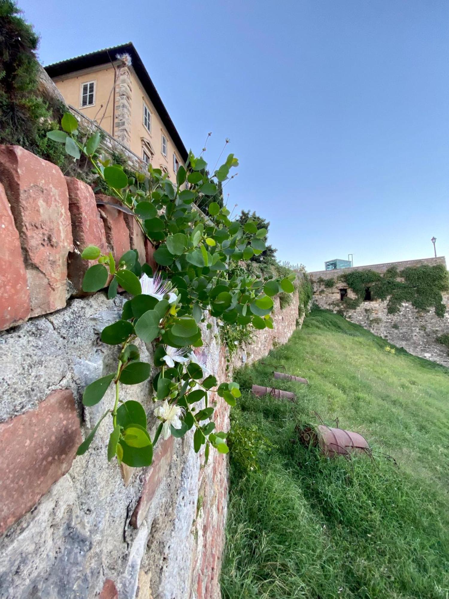 La Torre Di Canonica Colle Val D'Elsa Bagian luar foto